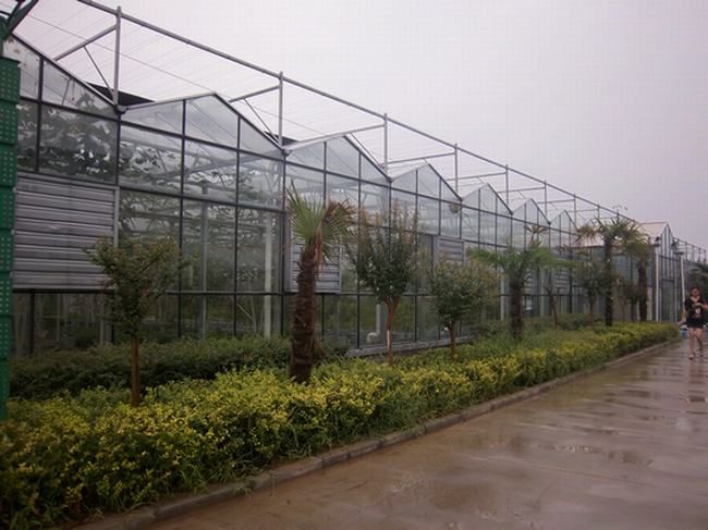 2012年建成的西安市现代农业科技示展园—文洛式智能温室